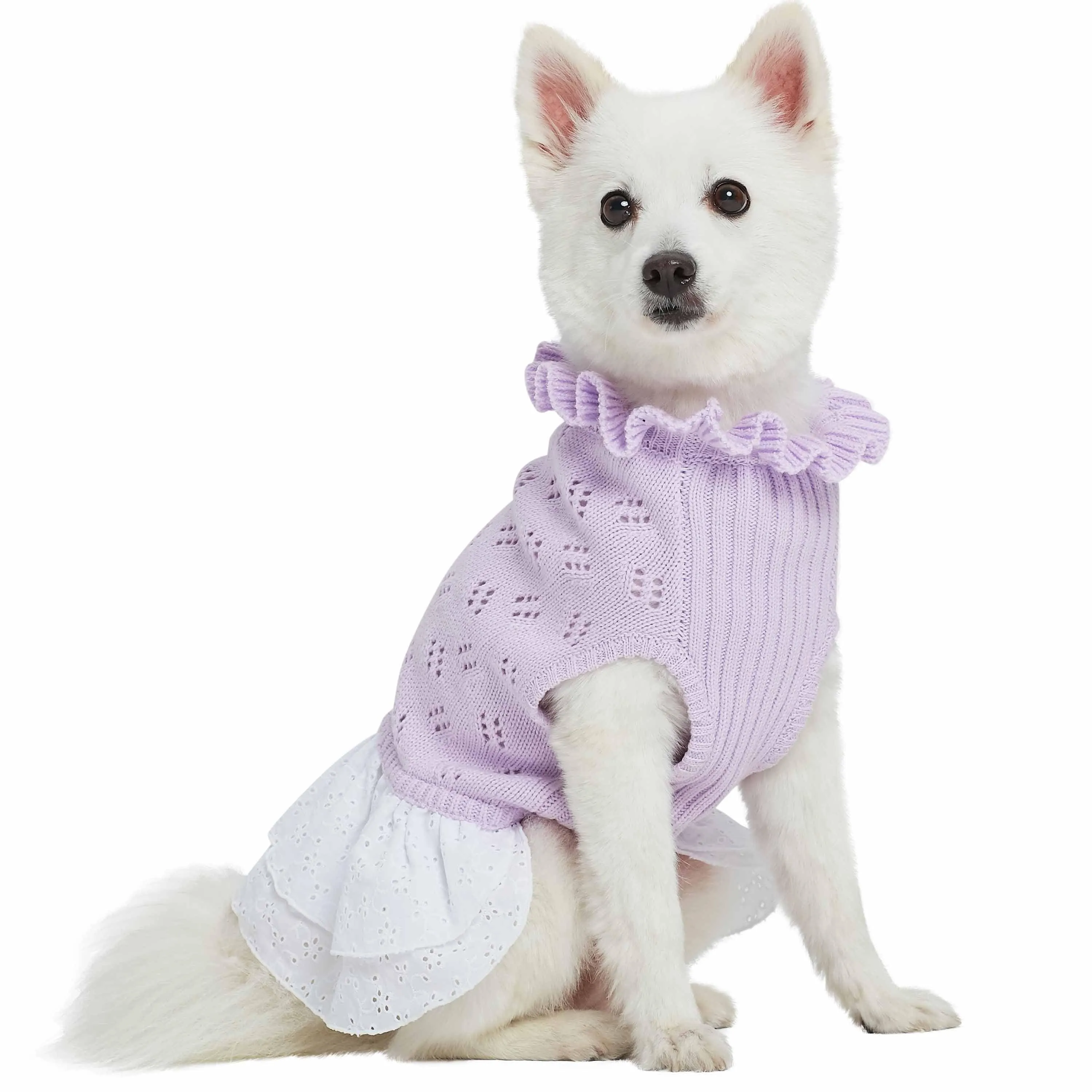 My Cutie Princess Ruffle Collar Dog Sweater Dress