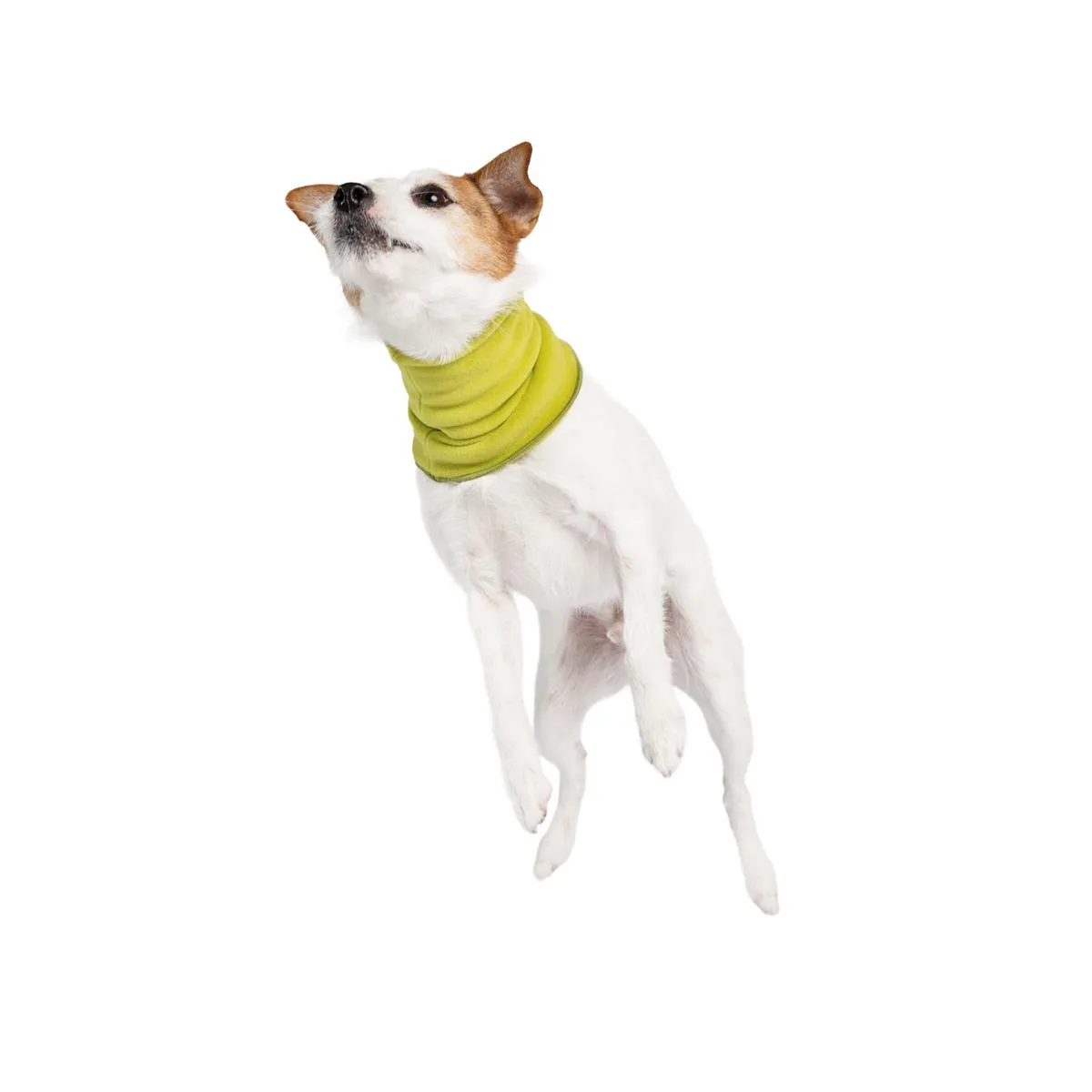 Reversible Snood Dog Neck Warmer Avocado/Avocado