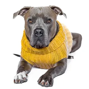 Zoo Snoods Yellow Sweater Keep Pets Warm in Winter Christmas New Year Large